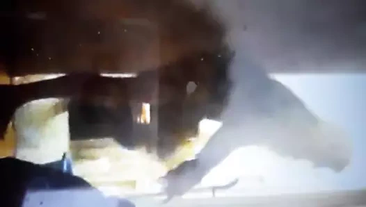 Uzun boylu Alman kadın striptiz yaptı