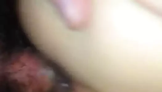 Inculata