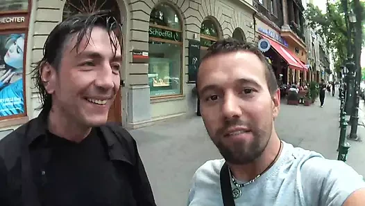 Zafira alır bir dev horoz