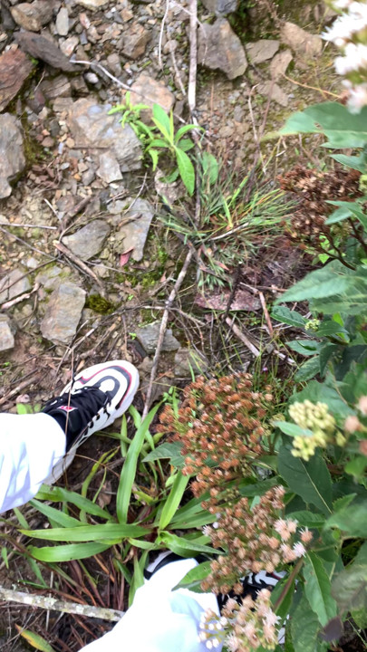 Yürürken beni bu halde bulsan ne yapardın?