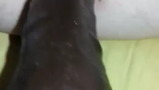 Dildoing karısının kullanılmış kedi