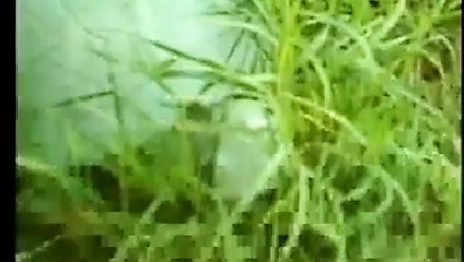 Sarışın milf yiyor ona esmer kız kedi