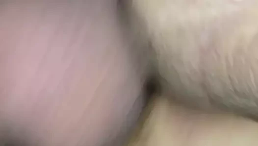 köpek stili kahrolası