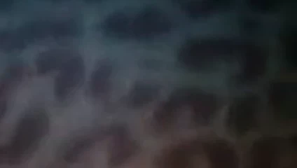 il mio culetto