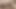 POV - Sarina
