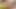 Southernstrokes - curtis cameron ve josh cavalin eyersiz