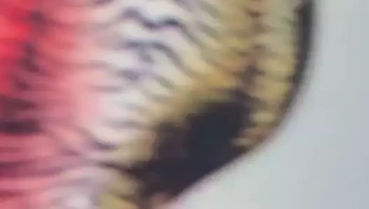 Cum haraç üzerinde orospu praju instagram