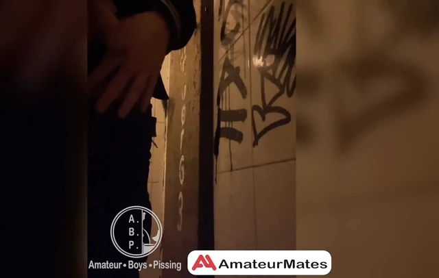 Bir barın tuvaletlerine işerken izleniyor...