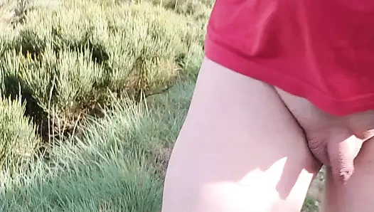 Çıplak penisle dağlarda yürümek