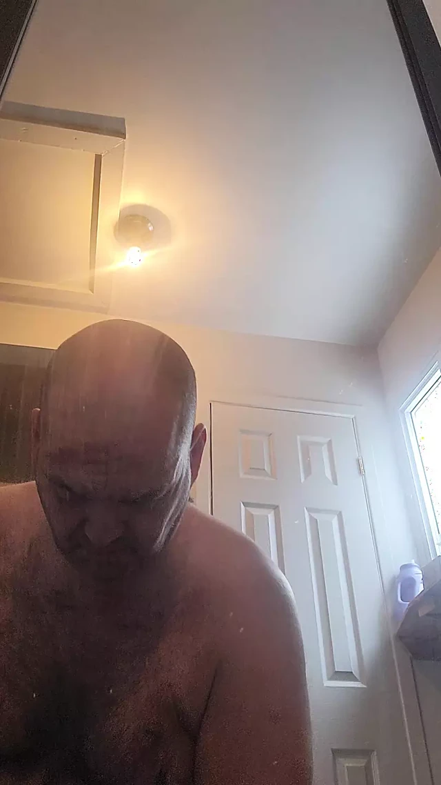 Mr Bear'ın bard yeniden çalışması