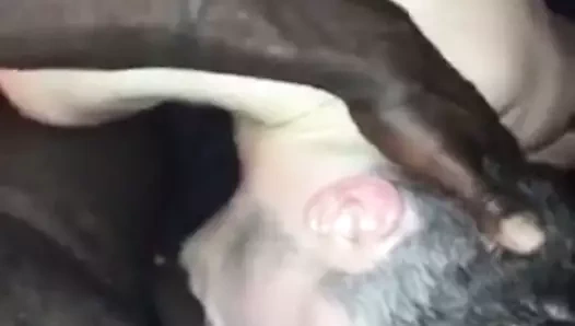 Adam derin boğaz dev bbc