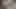 Küçük bir yarakla büyük bir Hintli götü sikmek istiyorum ama sikim zar zor ereksiyon oluyor, bu yüzden saksoyla bitireceğim ve sonra