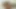 İtalyan porno yıldızı Sofia Cucci büyük bir yapay penisin tadını çıkarıyor
