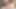 Büyük kıllı bir ayıyla ahırda sırılsıklamken Michigan kırsalının vahşi alanında mastürbasyon yapıyor