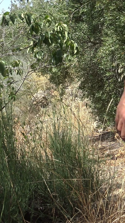 Rastgele yabancı çıplaklar kampında kıllı amımı sikiyor | Klip 2
