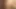 anal Latin (qazxswedcvfr)