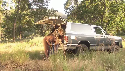 Romantik çift vahşi içinde kaba sikmek için sürücü