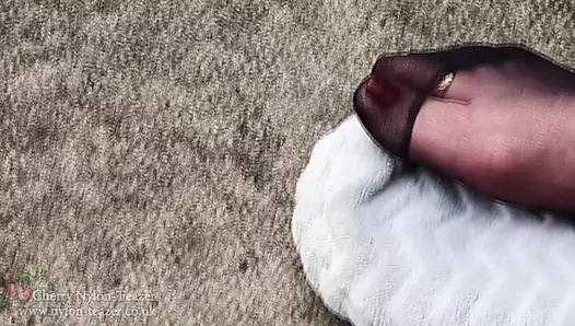 Siyah külotlu çoraplı toe teazer