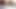 26 Eylül 2018 milo ve elma Asheville'de zencefille oynuyor