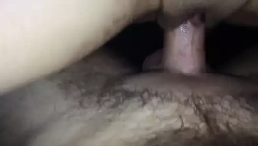 Yakın çekim pov - kedi penetrasyonu