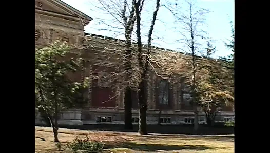 Tatlı göt ve sert eylem