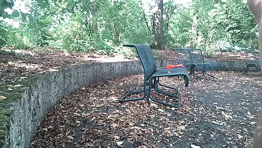 Herkese açık izleme