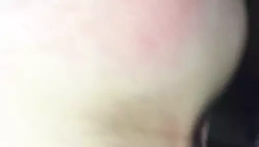 köpek ile benim beyaz sürtük