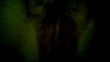 Sikme piliç vietnam