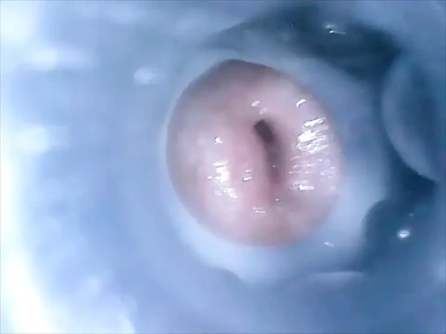 CD Mitch Inside Cum