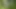 Kayınvalidesi damadını mutlu etmek için amını külotla nasıl teşhir edeceklerini biliyor