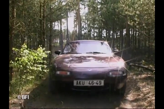 Yaşlı-genç doğa aşkı