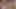Üvey kız kardeşimle porno izliyorum. Amına dokunmama izin verdi. Sonra ne oldu?