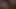 Civciv itibaren curacao ile kıllı kedi 2
