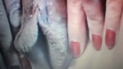 Canavar kedi dudakları