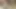 Latinas milf (orta yaşlı kadin) otelde eğildi