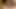 Dik milf aewin Başlarken üzerinde ona dizler için bir güzel yarım yamalak derin boğaz oral seks ve karşılığında bir yüz alır