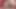 Blanc 35 - Blowjob 02 - Cock Sucking, Blowjob and Cumshot