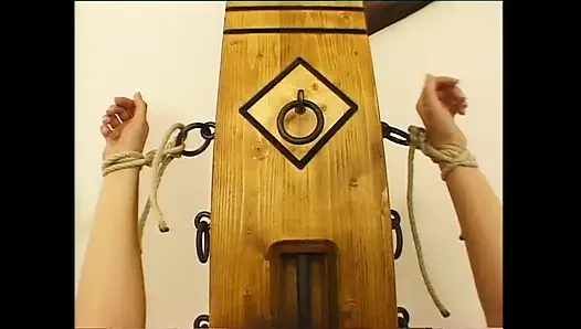 Torbide Scopate tra le Mura Domestiche