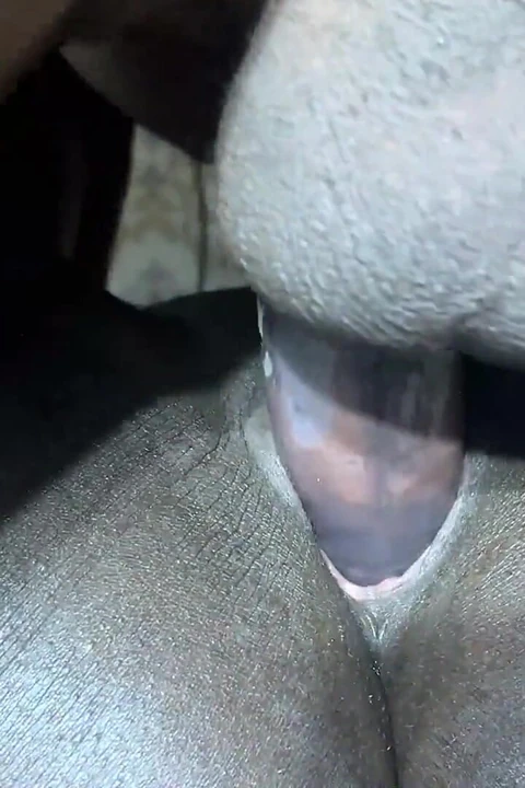 Olgun büyük zenci yarağı zenci kız arkadaşını sikip orgazm oluyor