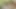 Kredi4k. yaramaz tatlı tatlı cinsel cazibesini kullanır