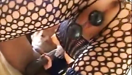 Tatlı eşek bbc tarafından toyed ve takılı alır!