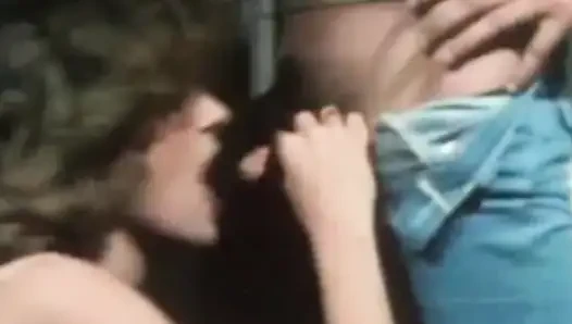 Plato'nun geri çekilmesi West Swingers