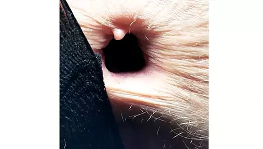 Gapes, osuruk, ıslık, queefs ve yankılar