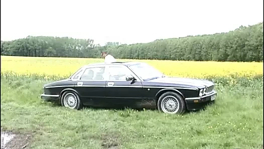 Derin yumruk sokma ile açık havada sikiş (bb)