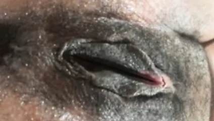 Konuşan kedi bir çük için yalvarıyor