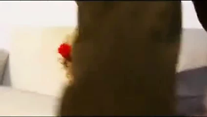 büyük meme ile sarışın