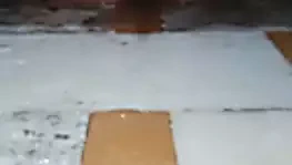 Hint kız oyuncak sert