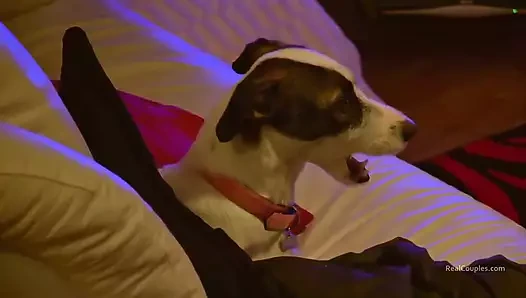 Tammie ve Ollie gerçek çiftlerde