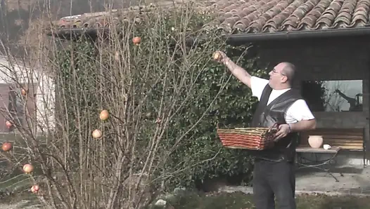 Harika seksi genç büyük memeli göt sikiliyor ve canavar yarakla ağzına boşalıyor amatör