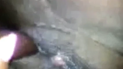 Oyun içinde the kedi 4